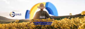 A primavera chegou: 5 cuidados com a saúde para florescer com mais leveza